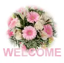 welcome