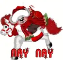 nay nay