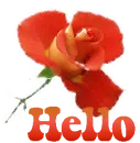 Hello Rose