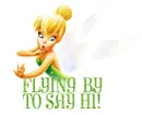 Flying By To Say Hi