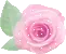 COLORCODE