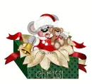 chrissi