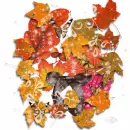 Fall