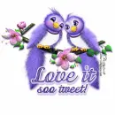 Love it so Tweet