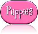 Puppies :) (Sunnii) 