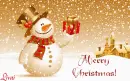 Merry Christmas