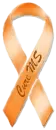 Multiple Sclerosis - MS - Awareness Ribbon