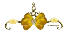 butterfly divider