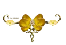 butterfly divider2