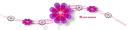 purble divider1
