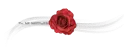 t7r