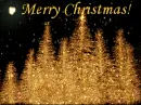 Natale