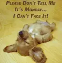 Don't Tell Me It's Monday