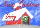 Daisy