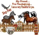 Horses_nay nay