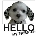 Hello