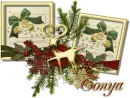 Season's Greetings-Tonya