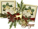 Season's Greetings-Jaya