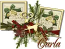 Season's Greetings-Carla