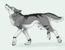 wolf layout