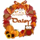 Daisy