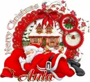 Merry Christmas-Ania