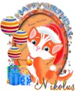 Happy Birthday-Nikolus 