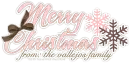 merry christmas, the vallejos family