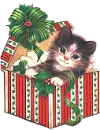 Kitty Cat