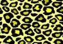 yellow animal print