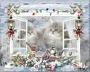Winter of the kittens