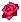 Red rose