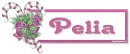 Pelia