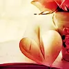 loverst