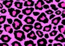 pink lepord
