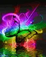 rainbow butterfly