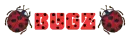 Ladybug Bug