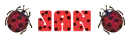 Ladybug Jan