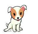 puppy