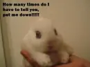 Put Me Down