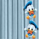 donald stripes