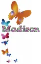 madison butterfly