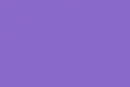Plain Purple