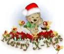 Merry X-Mas
