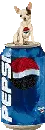 chihuahua tin pepsi