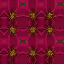 Background - Red