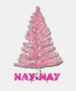 nay nay