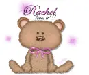 brown bear with rachel loves it