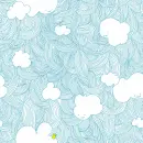Clouds