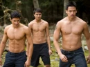 The Wolf Pack